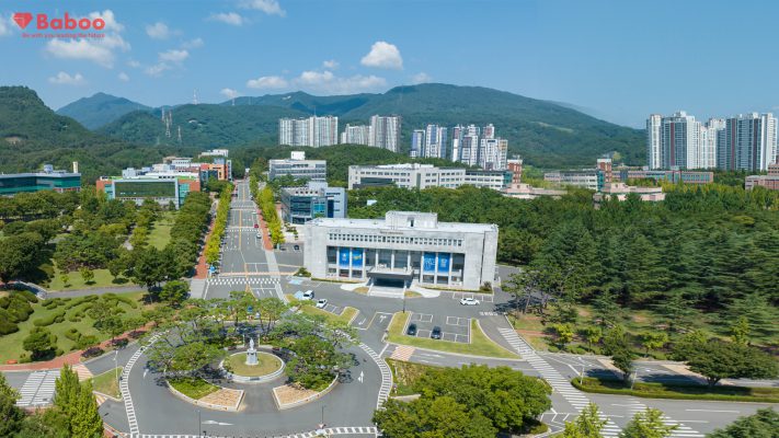 Đại học Daegu Catholic